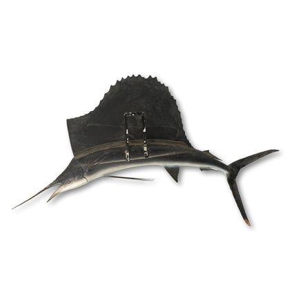 Marlin Wall-Mount