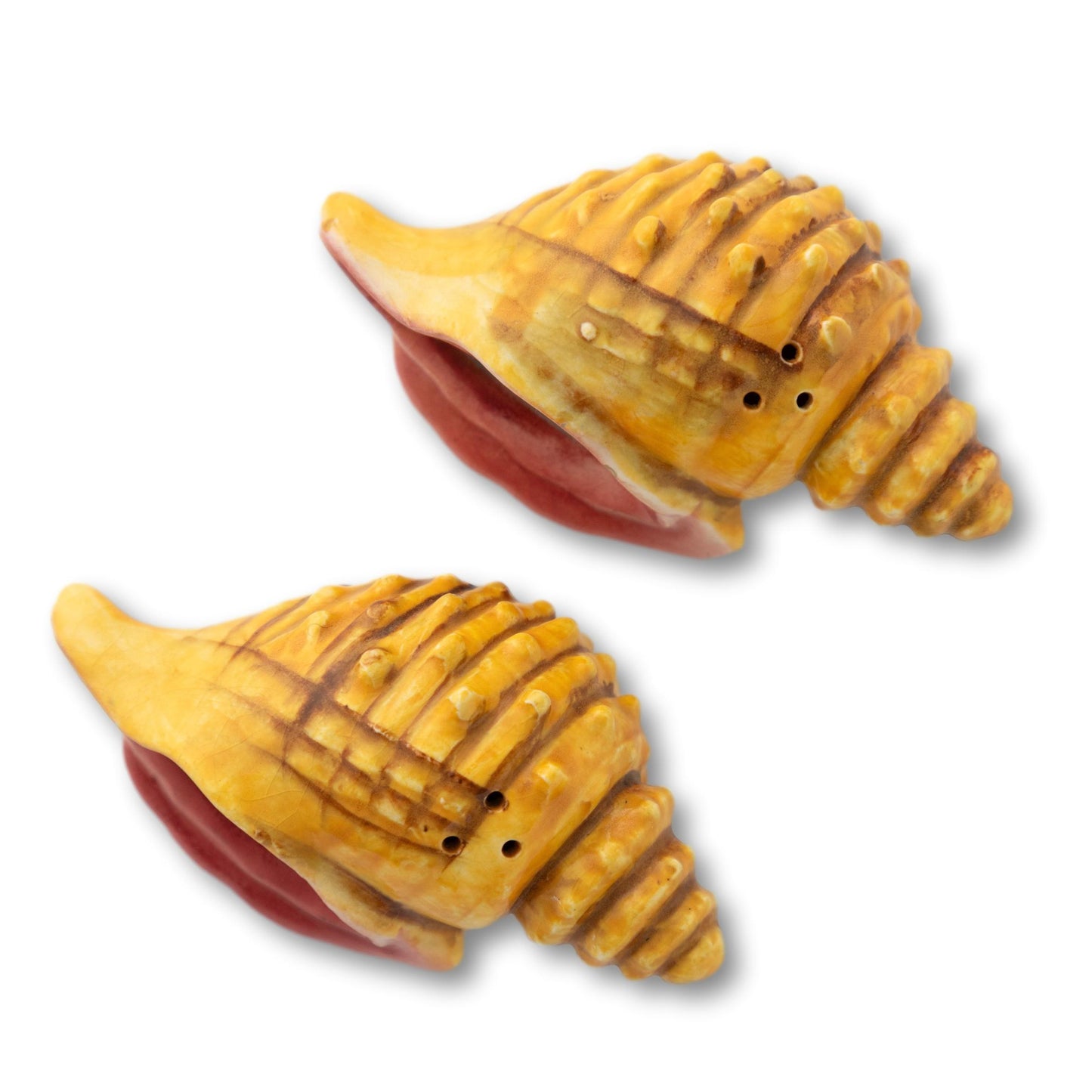 Conch Shell Salt & Peppers