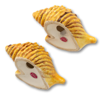 Conch Shell Salt & Peppers