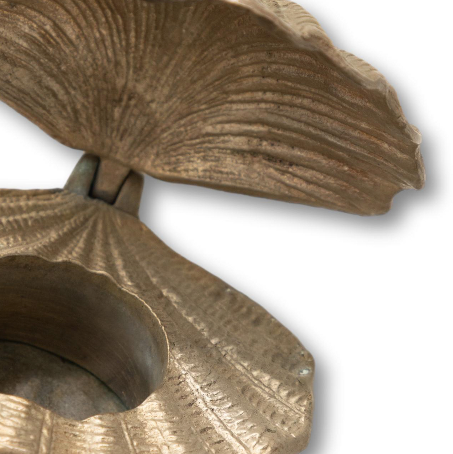 Brass Seashell Stash Box