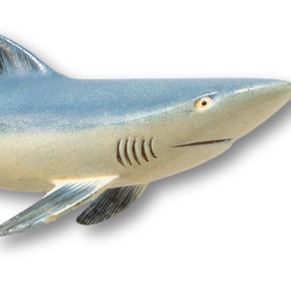Hand-Painted Shark