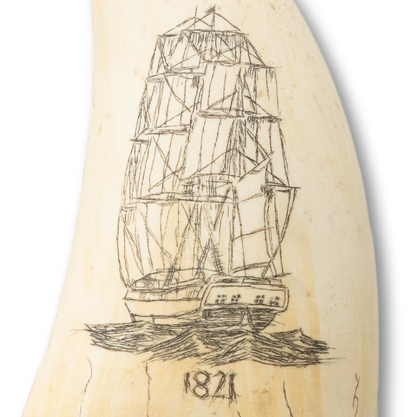 Scrimshaw Resin Whale Tooth