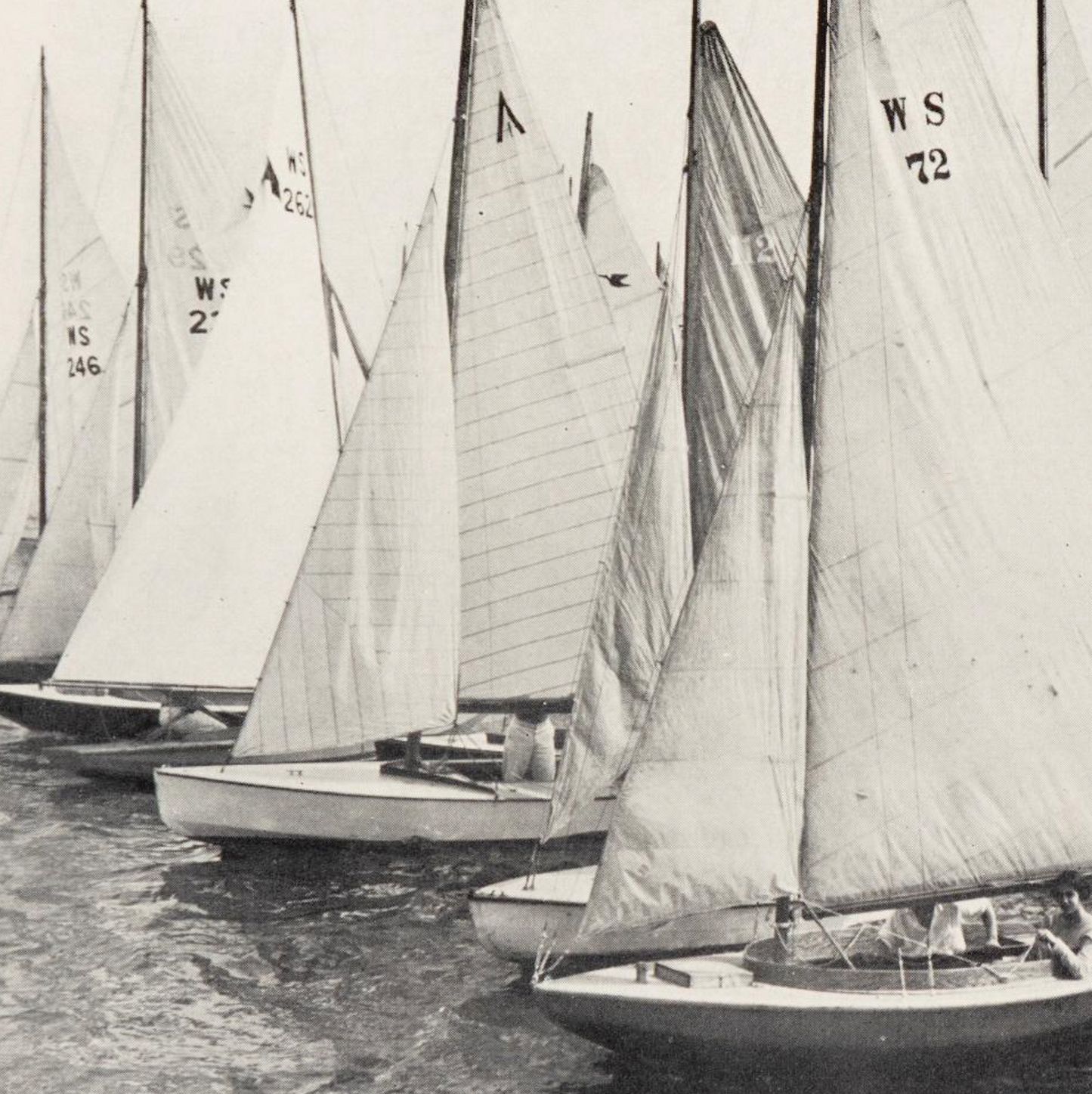 B&W Yacht Club Fleet