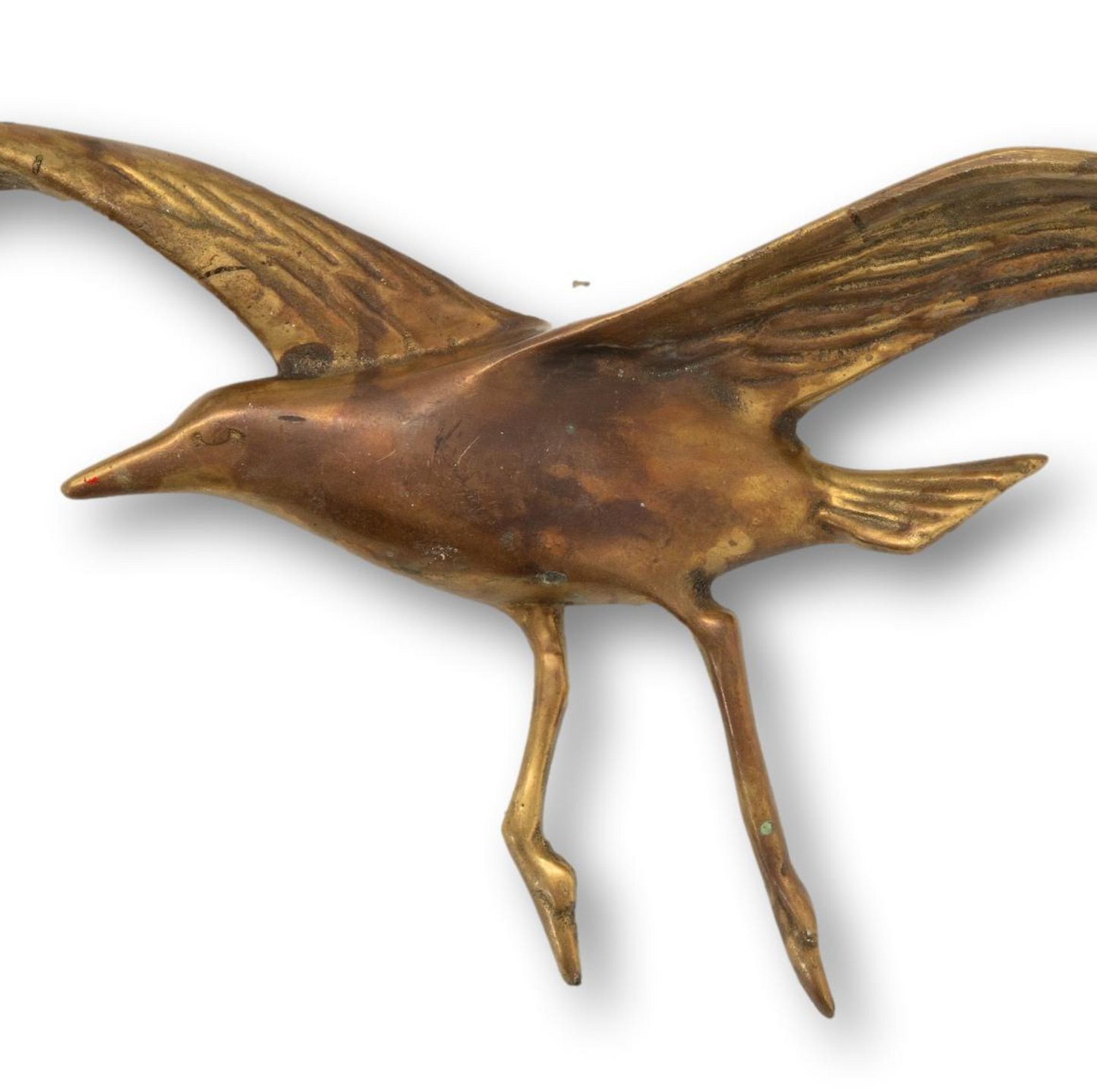 Brass Seagull Wall Mount