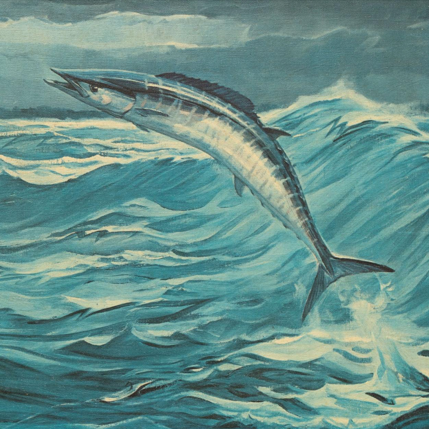 Wahoo Leaping Surf