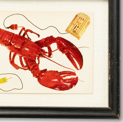 Framed Lobster Postcard