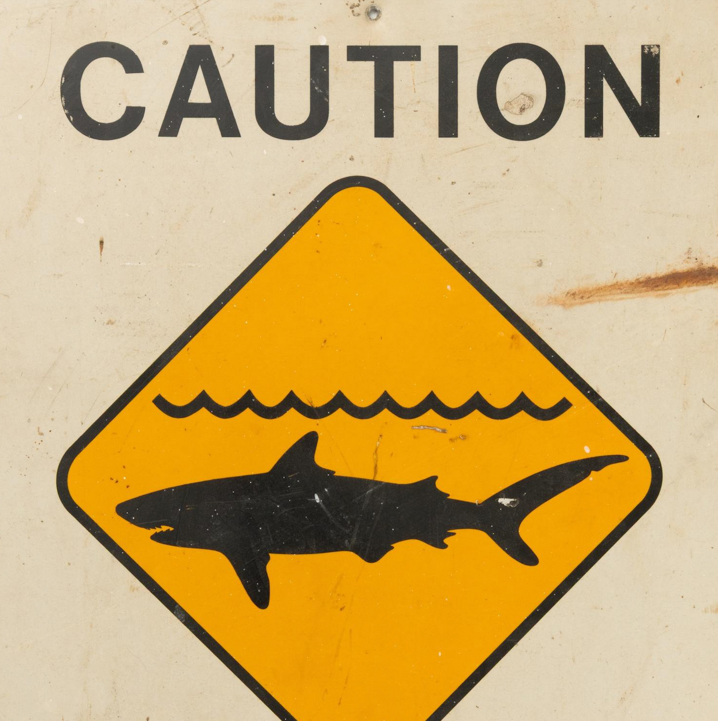 "Sharks Sighted" Sign