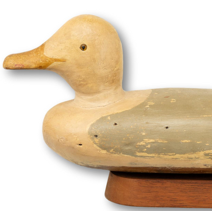 Seagull Decoy on Stand
