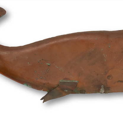 Copper Whale