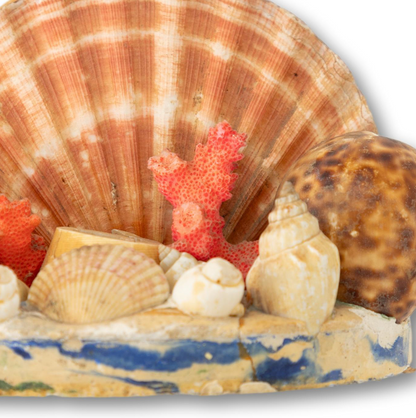 Shell Napkin or Letter Holder