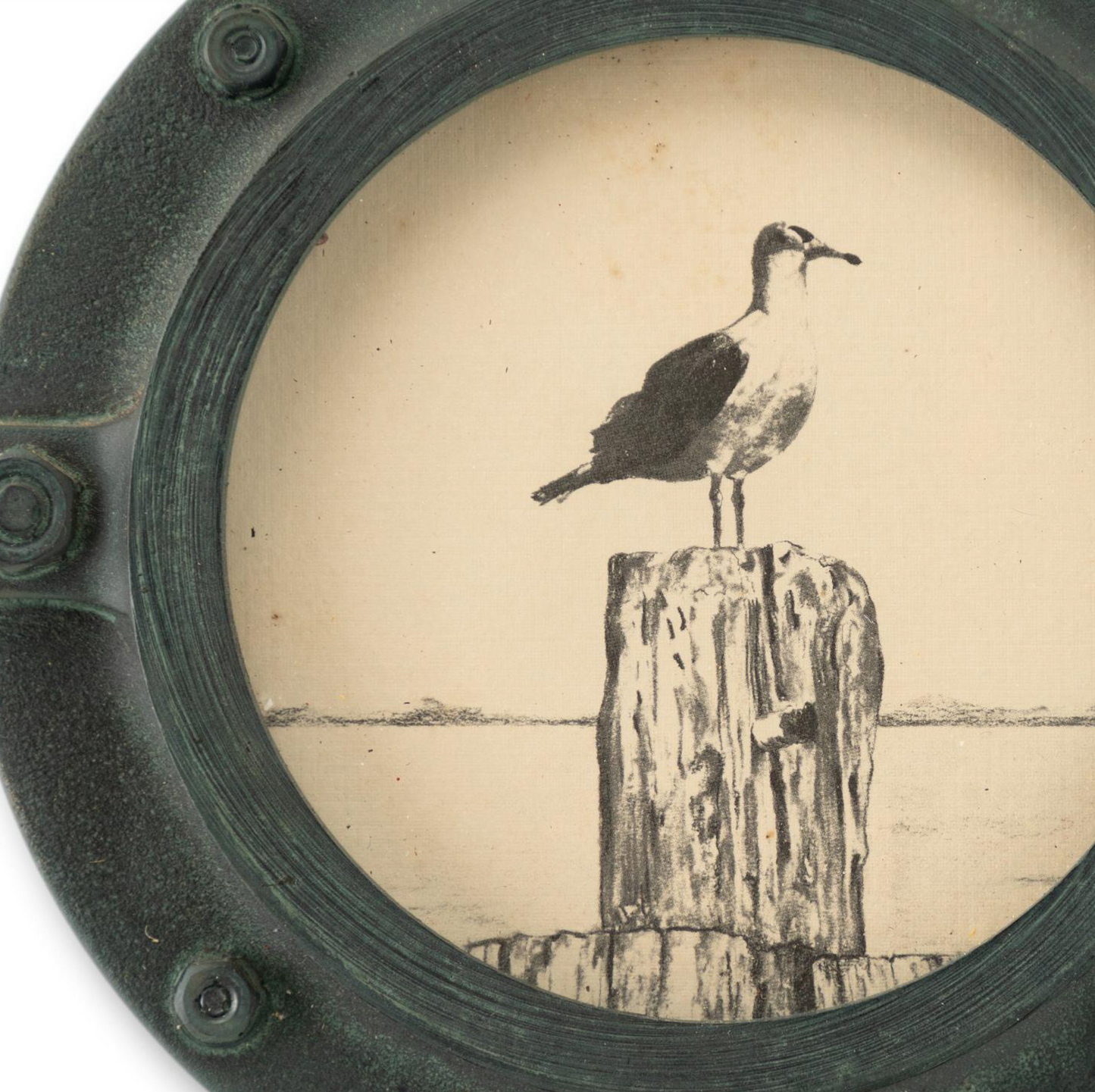 Small Seagull in Porthole