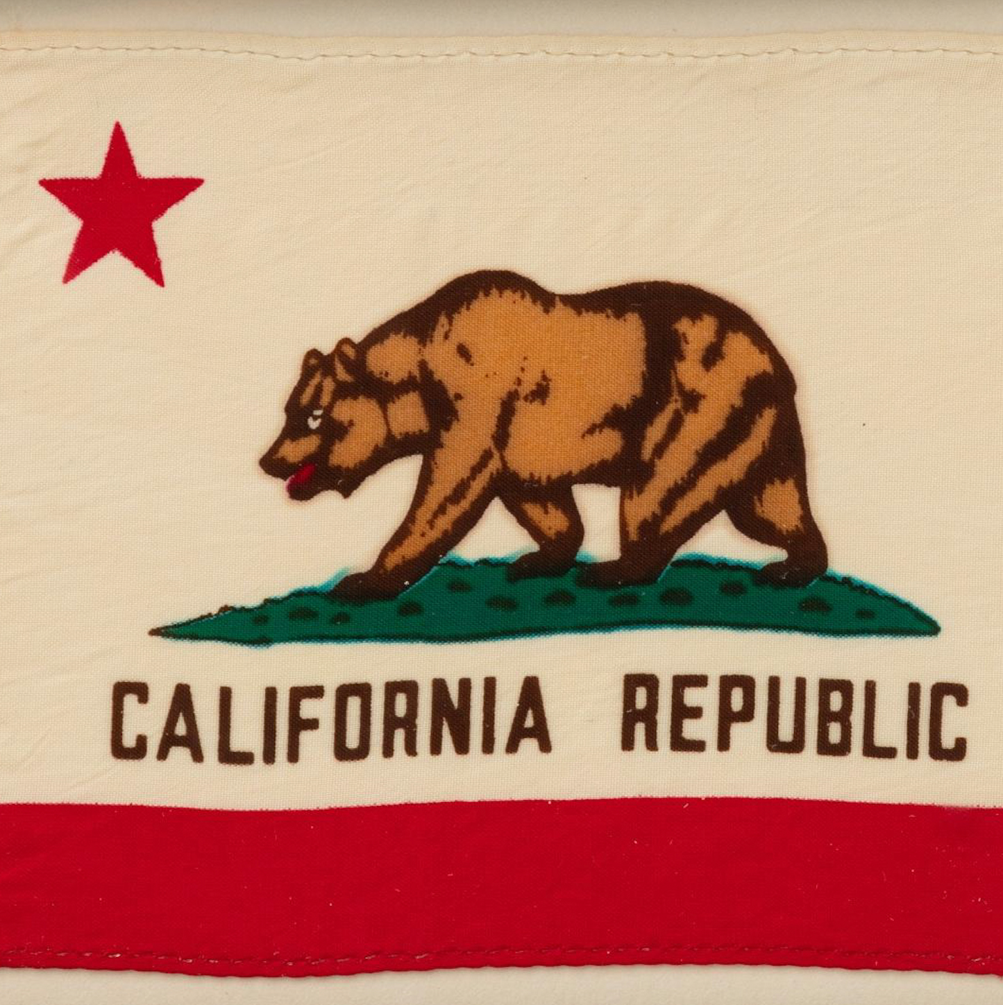LA Fundraiser 🚩 California Flag