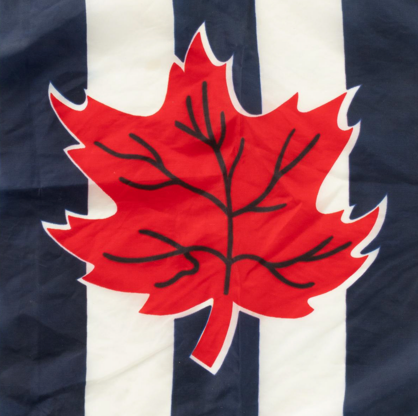 Canadian Power Squadron Flag