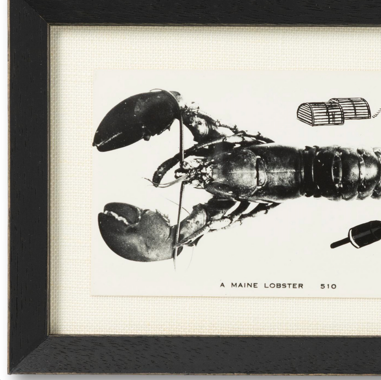 Framed Black Lobster Postcard