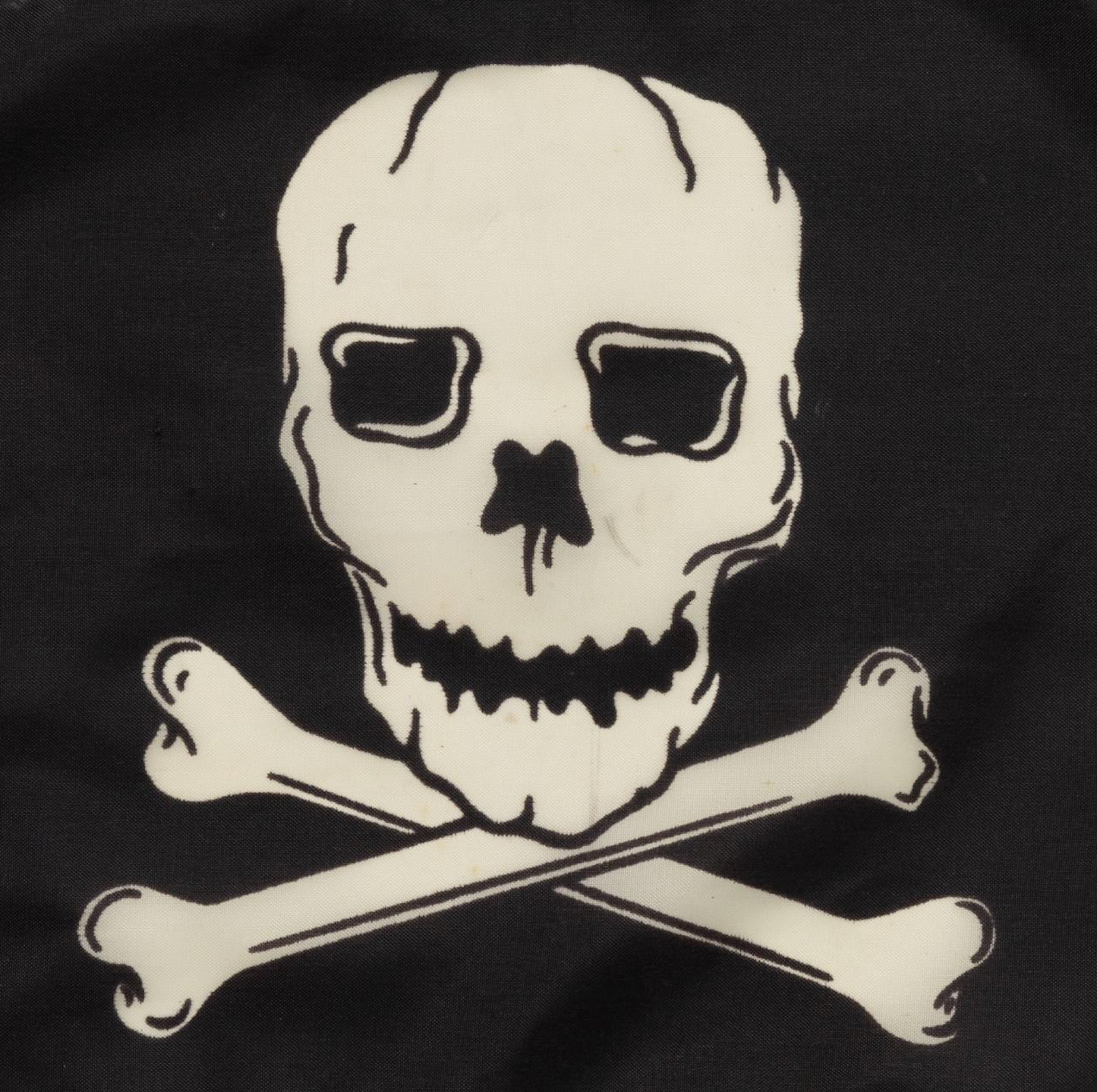 Pirate Flag 12x18