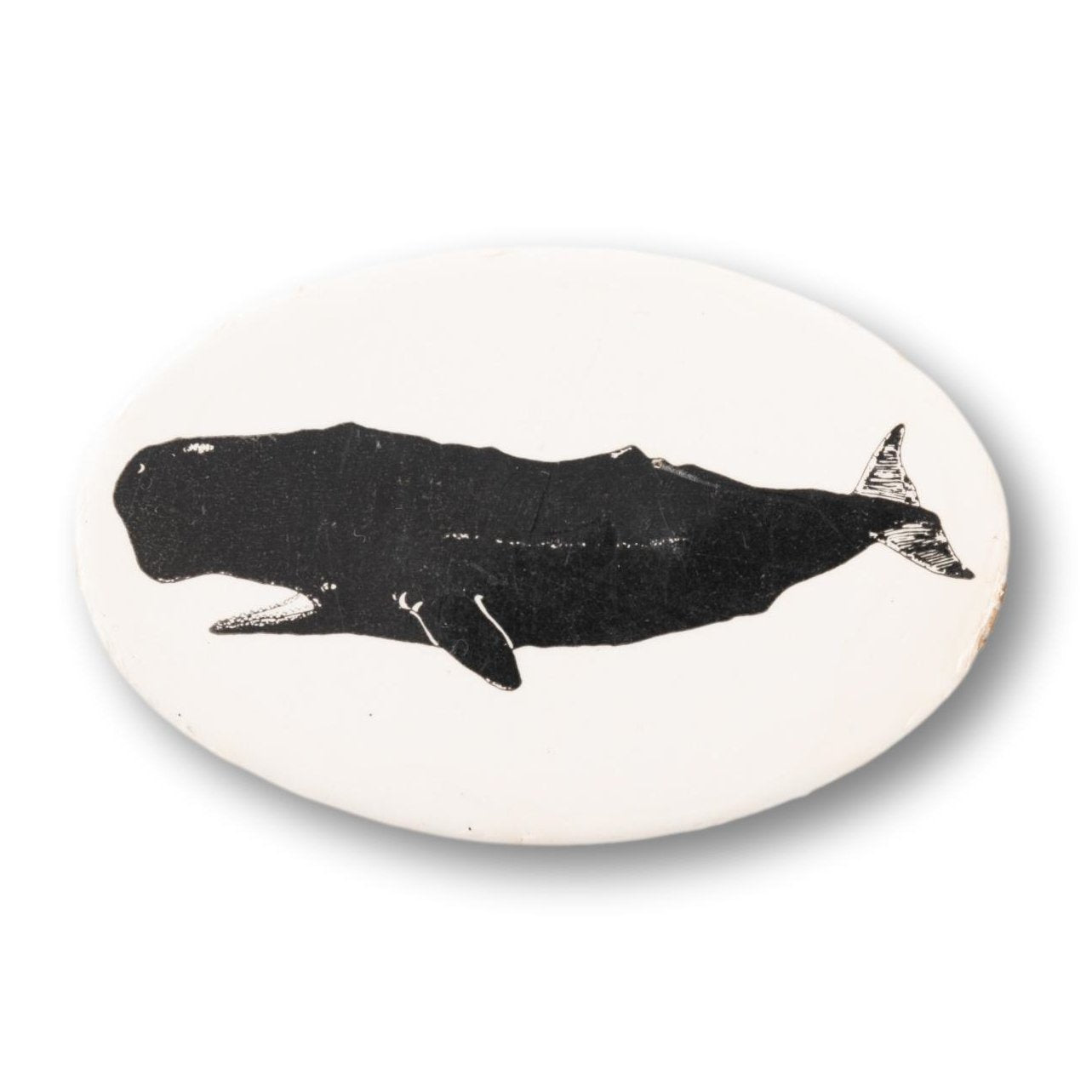 Oval Whale Button