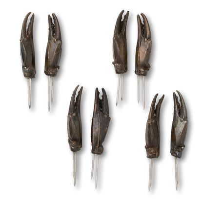 Crab Claw Meat Pickers / Corn Holders